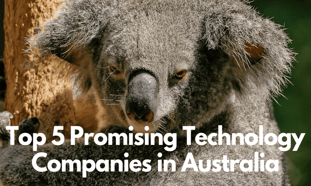 Top 5 Promising Technology Companies in Australia. Why Investors are Keeping a Close Eye on Aussie Tech Companies?