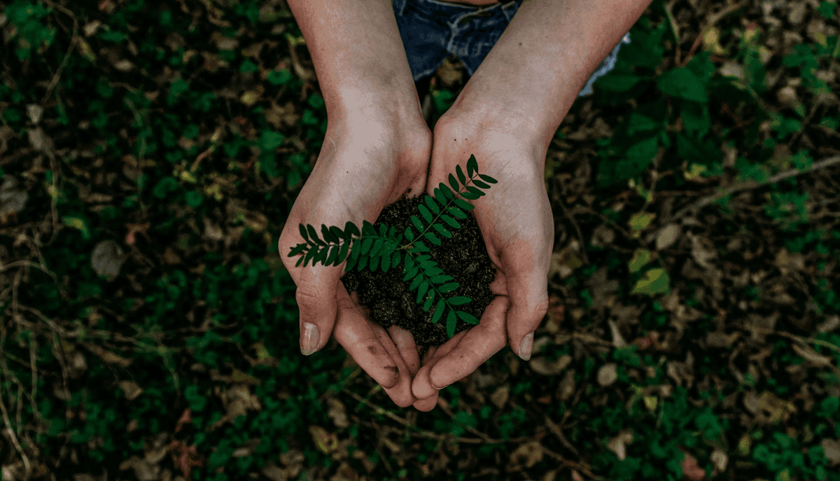 The Future of Renewable Technology in Australia