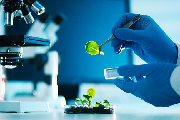 Pro Medicus (ASX: PME) Expands Enterprise Moat with New Mid-Atlantic Contract and A$44M US Double Win
