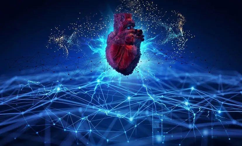 Why Echo IQ (ASX: EIQ) Stock Is in Focus After Landmark AI Data Partnership with Advara HeartCare