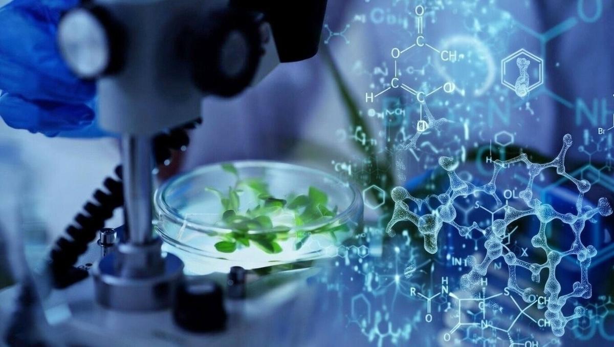 Algorae Pharma Expands AI Drug Discovery Push with Peter Mac Cancer Partnership