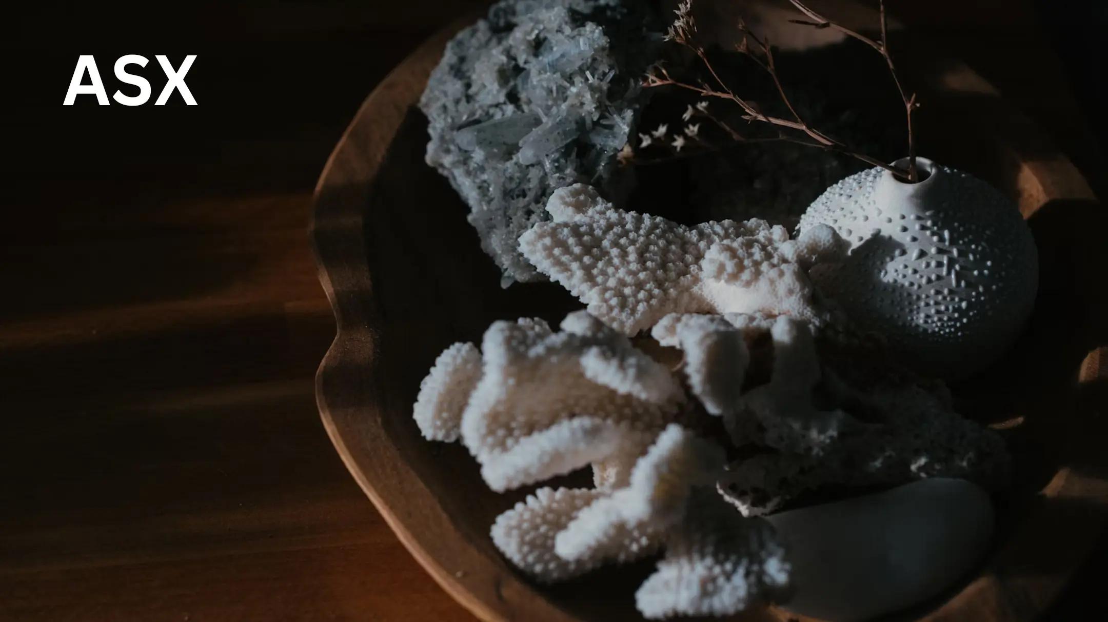 Chilwa Minerals Limited_ Rare Earth Discoveries and Strategic Growth