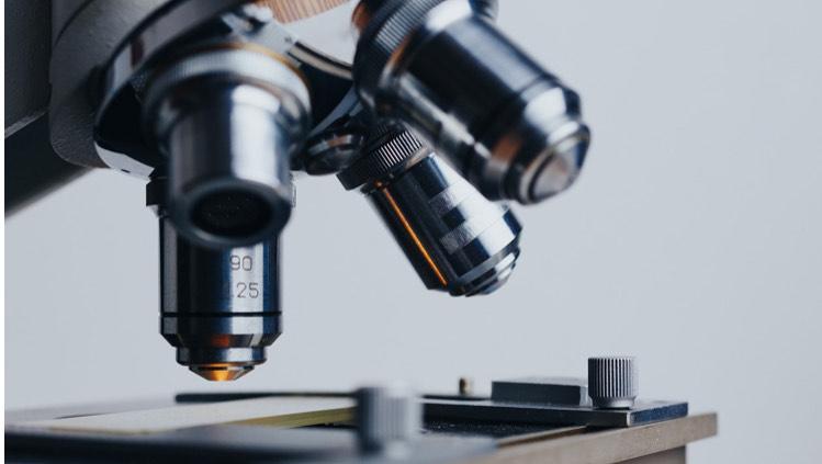 Pro Medicus Clinches $20M US Deal as Stock Climbs Past $248